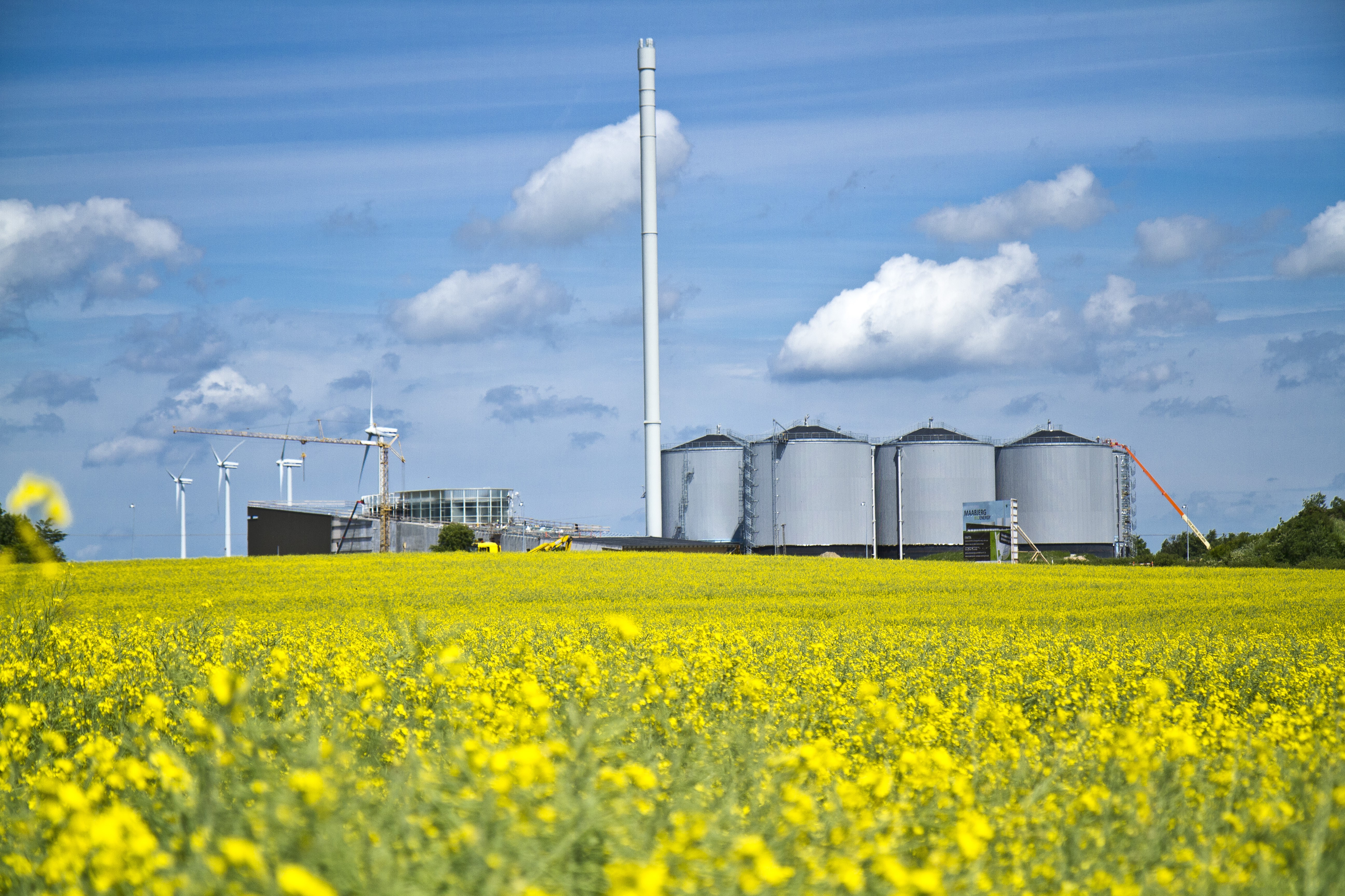 MEC - BioGas